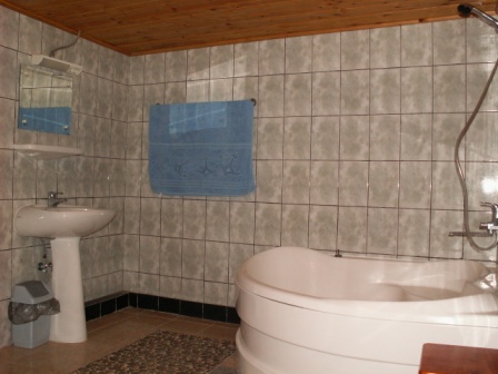 “Ibis” holiday home (66 m²) : Bathtub