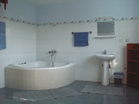 “White Tailed Eagle” holiday home (73 m²) : Bathtub