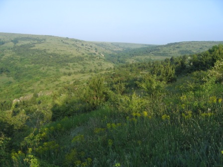 Karst area of Gura Dobrogei & Cheia in June
