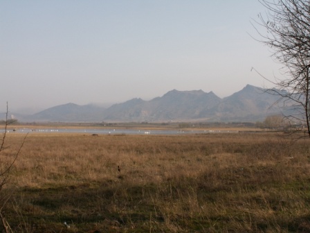 Măcin Mountains - view of the mountain range at Greci
