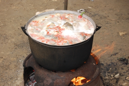Borş de peşte - Fish soup, Danube Delta style