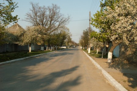 Street at the entrance of Jurilovca in spring